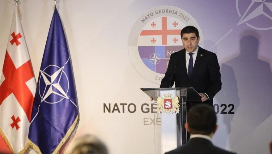 შალვა პაპუაშვილი: შეუძლებელია, NATO-ს მიერ საქართველოს უარყოფა შიდა პოლიტიკით გაამართლო