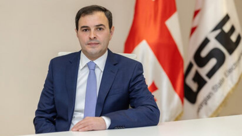 ვანო ზარდიაშვილი სახელმწიფო ელექტროსისტემის გენერალური დირექტორი გახდა
