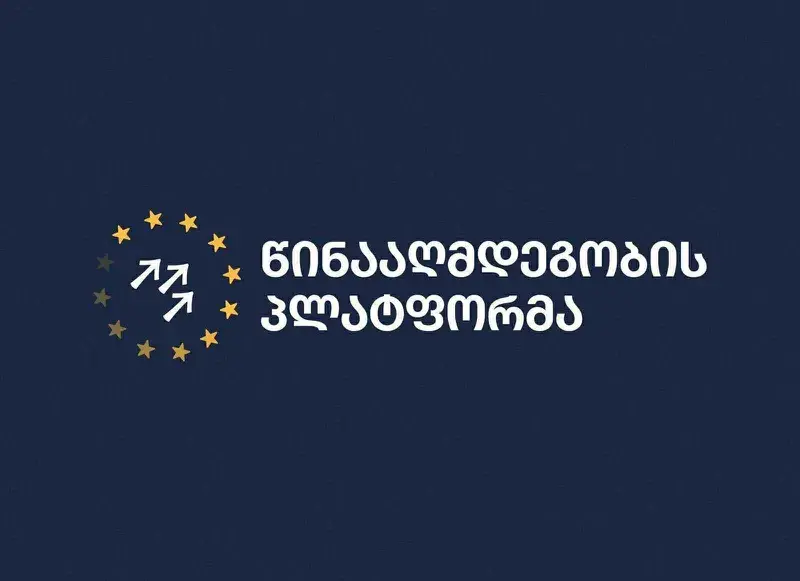„წინააღმდეგობის პლატფორმა“ - ნიკა მელიას დაკავება და დაკავების დეტალები არის რუსული რეჟიმის შიშის მანიფესტი