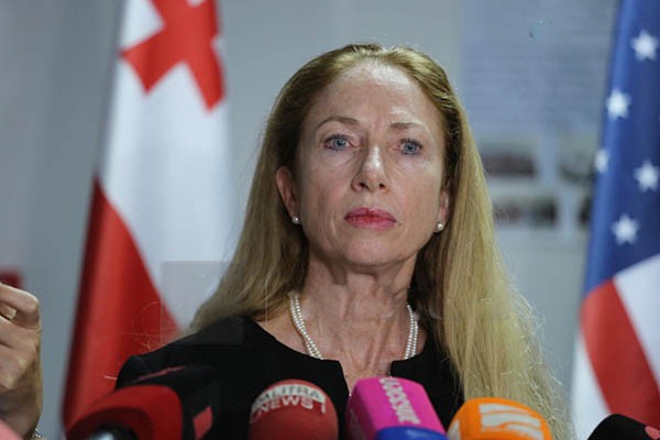 დეპუტატმა „ქართული ოცნებიდან“ აშშ–ის ელჩს ტონი დაუწუნა
