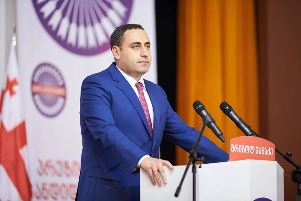 Giorgi Vashadze: Refusing to meet with the American ambassador is a refusal of strategic partnership and friendship with America