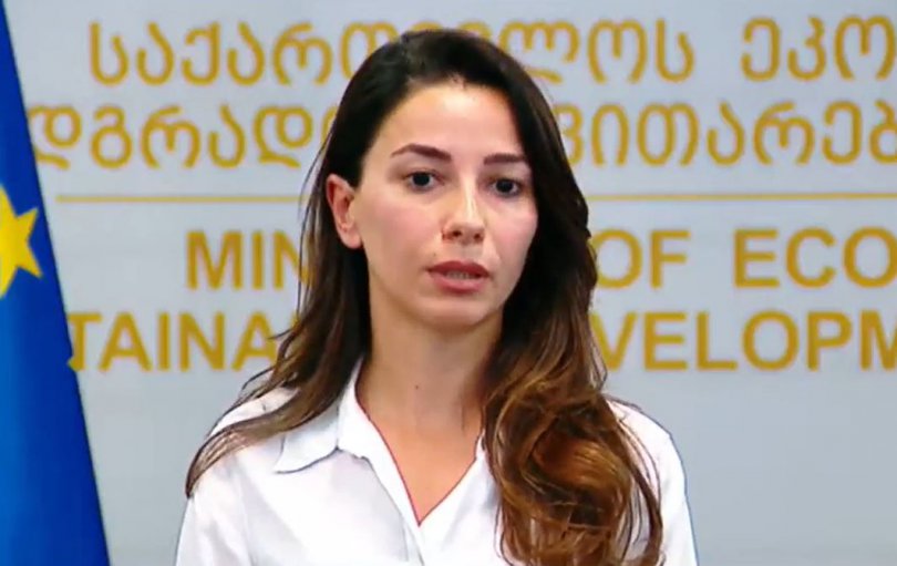 ქვრივიშვილი: საქართველოში ვერ იფრენს ვერცერთი კომპანია და ხომალდი, რომელიც იქნება სანქცირებული
