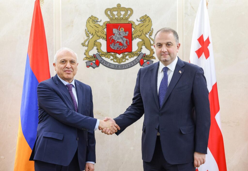 ირაკლი ჩიქოვანი საქართველოში სომხეთის ელჩს შეხვდა