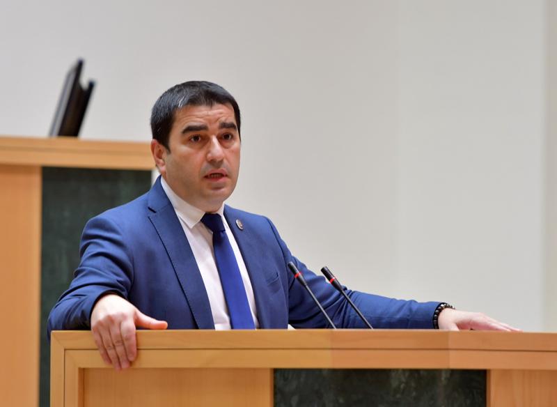 პაპუაშვილი მიიჩნევს, რომ სადღეისოდ საქართველოს ევროკავშირში გაწევრიანება არახელსაყრელია